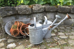 Spring Suggestions: 6 Tips for Revitalizing Your Outdoor Spaces