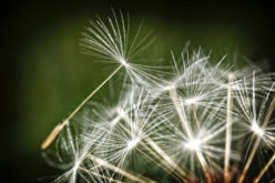 Air Purifiers, Your Home and Your Health