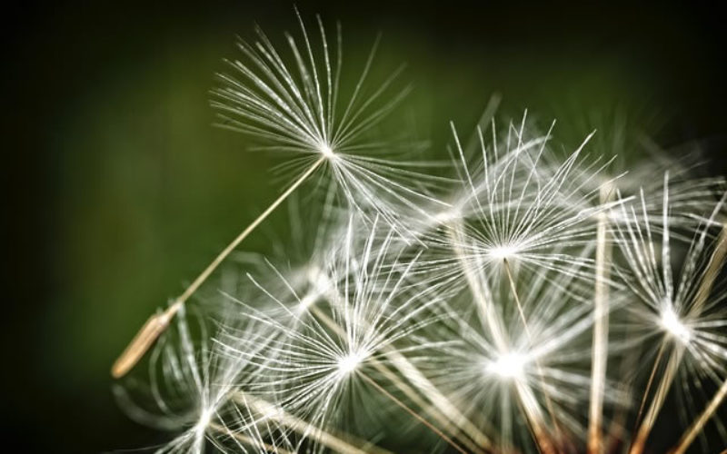 Air Purifiers, Your Home and Your Health