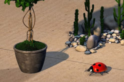 10 Ways to Decorate and Improve Your Backyard