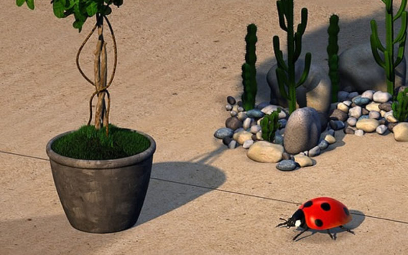 10 Ways to Decorate and Improve Your Backyard
