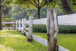 Top Considerations Before You Build A Fence