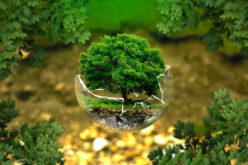 7 Simple Hacks for Turning Your House Into an Eco-Friendly Home