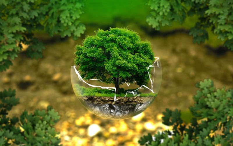 7 Simple Hacks for Turning Your House Into an Eco-Friendly Home