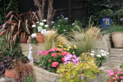 Having Your Yard Landscaped? How To Relieve The Stress