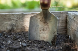 Landscape Maintenance Tips for Summer and Winter