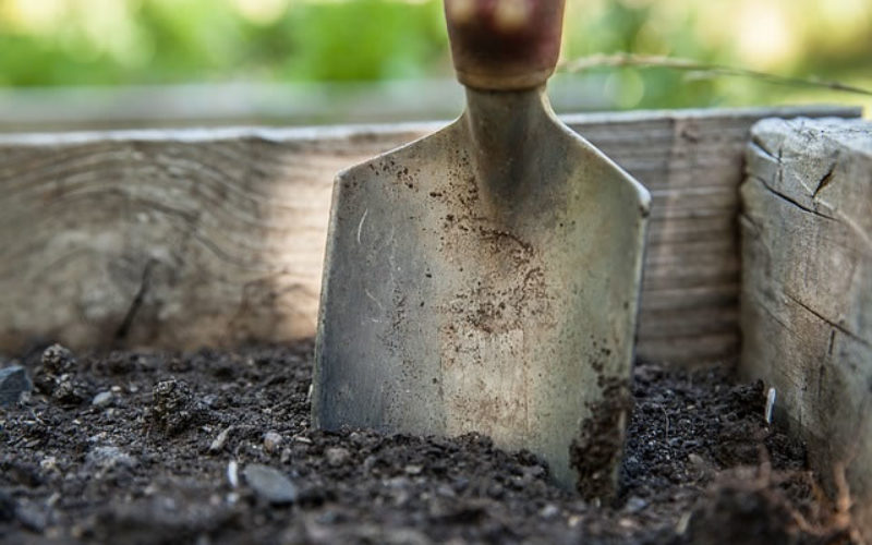 Landscape Maintenance Tips for Summer and Winter