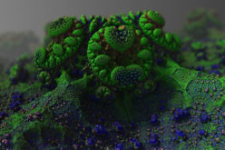 Mold and Mildew: How to Prevent Your Home from Becoming a Health Risk