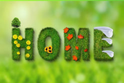 Rejuvenated House: 5 Home Repairs for Spring