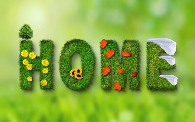 Rejuvenated House: 5 Home Repairs for Spring