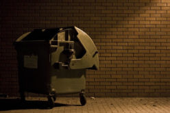 How to Hire Quality Rubbish Removal Service Providers Within Affordable Budget?