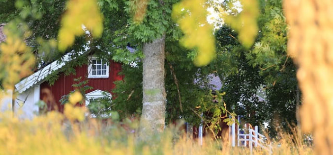 3 Backyard Updates That Could Help Sell Your Home Faster