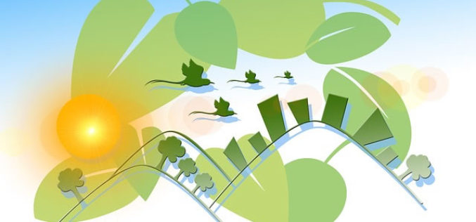 Green and Sustainable Cleaning Is The Way To Go