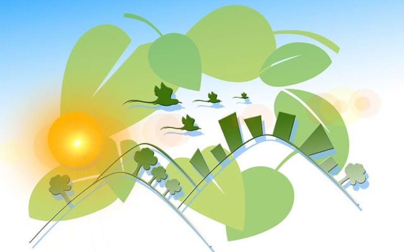 Green and Sustainable Cleaning Is The Way To Go