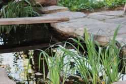 How Landscaping Can Increase Value