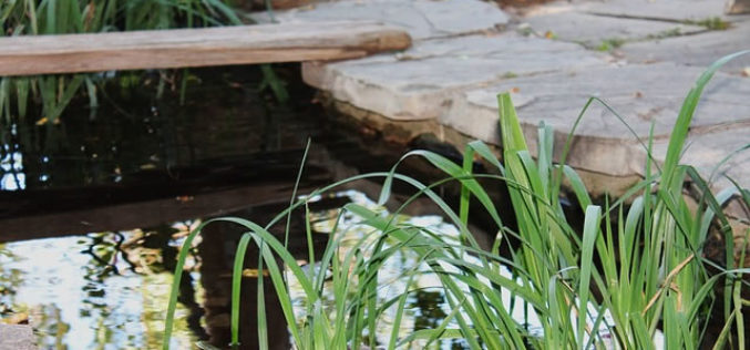 How Landscaping Can Increase Value