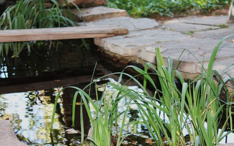 How Landscaping Can Increase Value