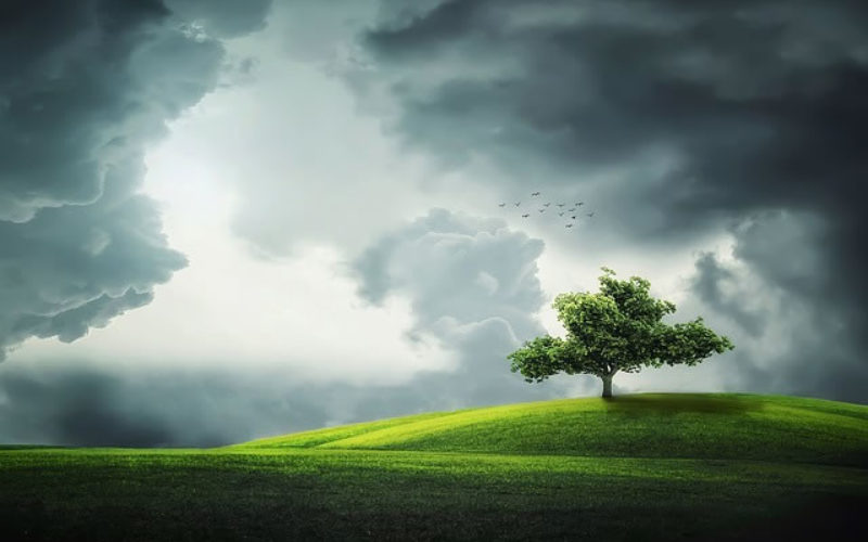 6 Ways to Help Your Trees Wake Up This Spring