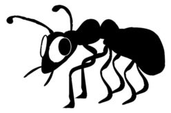 Home Wreckers: How Homeowners Can Combat (and Prevent) Termites