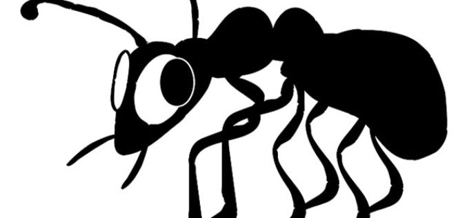 Home Wreckers: How Homeowners Can Combat (and Prevent) Termites