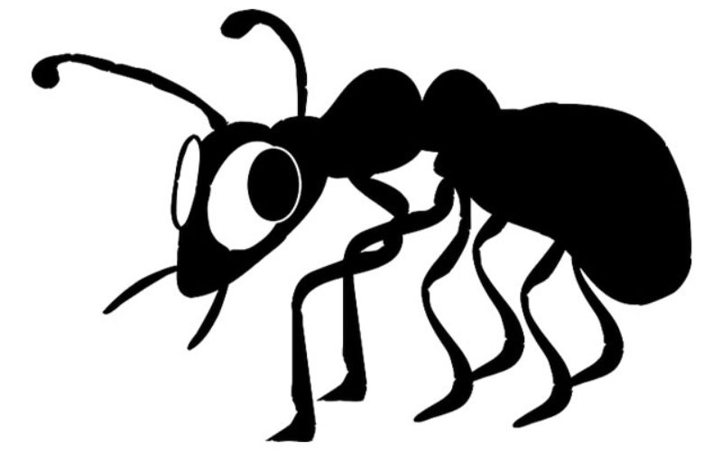 Home Wreckers: How Homeowners Can Combat (and Prevent) Termites