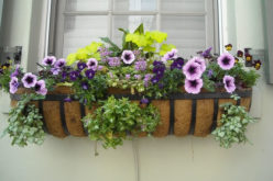 Boost Your Curb Appeal With Custom Window Boxes in 6 Easy Steps