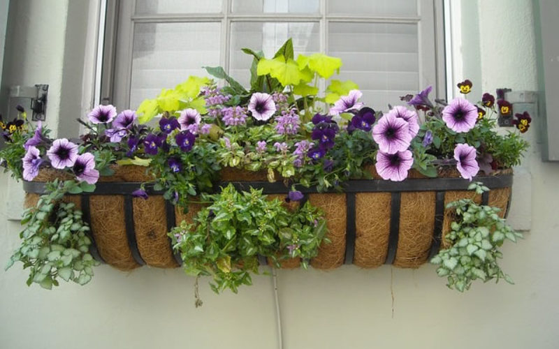 Boost Your Curb Appeal With Custom Window Boxes in 6 Easy Steps