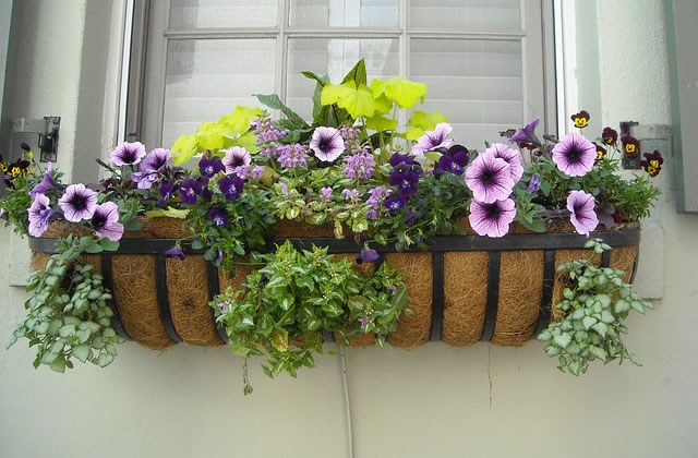 Boost Your Curb Appeal With Custom Window Boxes in 6 Easy Steps — Home ...