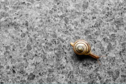 Clever Ways to Use Granite in Your Design Scheme