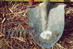 7 Great Hacks For Saving Money With A Beautiful Garden