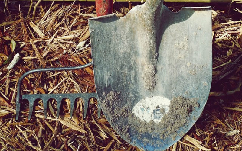 7 Great Hacks For Saving Money With A Beautiful Garden