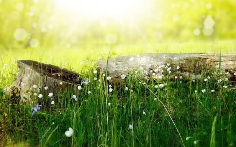 Renovation Creation: 4 Unique Household Projects Worth Undertaking This Summer