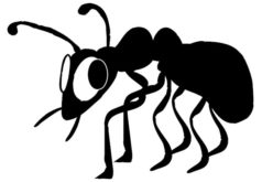 How to Prevent Termites From Ruining Your Home