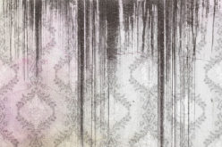 Black & Green: 4 Steps to Take After Discovering Mold in Your Home