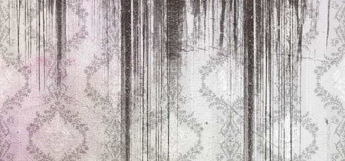 Black & Green: 4 Steps to Take After Discovering Mold in Your Home