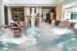 Feeling Cramped? How to Remodel Your Home to Feel More Open