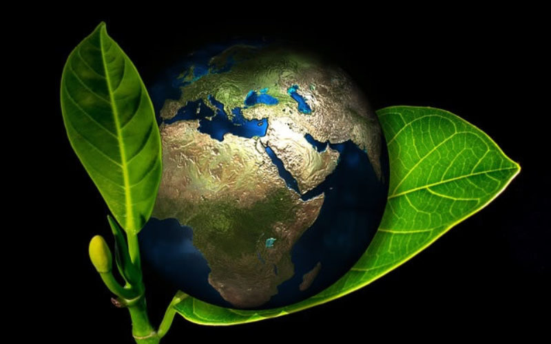 5 Ways to Make Your Construction Process Environmentally Friendly