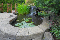 <span>Sunday Morning Tip for July 23:</span> Garden Landscaping