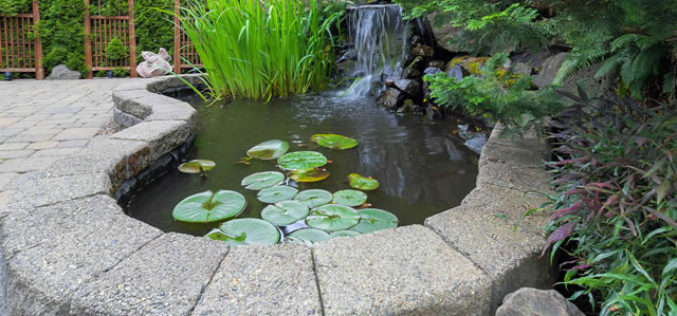 <span>Sunday Morning Tip for July 23:</span> Garden Landscaping