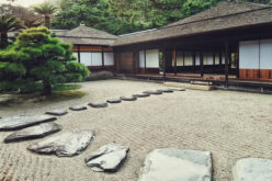 Important Factors to Consider Before Choosing Stone for Your Home and Garden