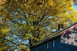 5 Remedial Repairs You May Need to Perform on Your Home Before Fall
