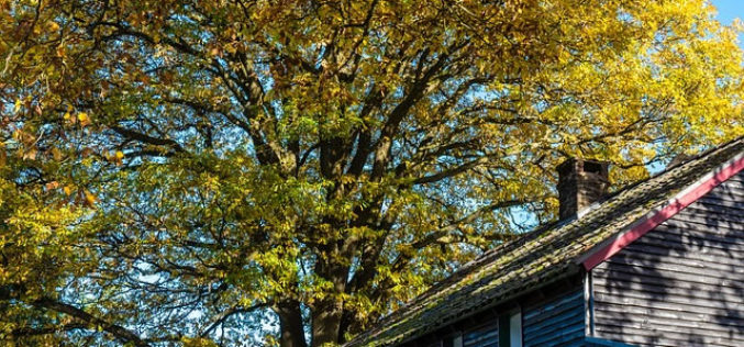 5 Remedial Repairs You May Need to Perform on Your Home Before Fall