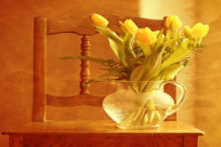 Delightful Decor: a How-To-Guide on DIY Interior Decorating