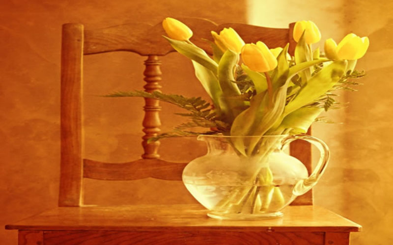 Delightful Decor: a How-To-Guide on DIY Interior Decorating