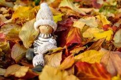 <span>Sunday Morning Tip for Oct 01:</span> Let the Fall Season Begin