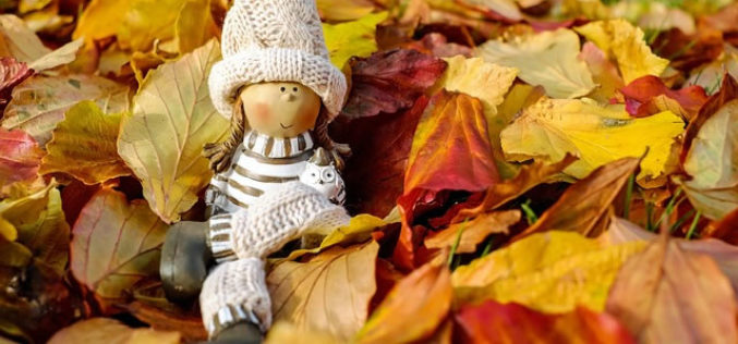 <span>Sunday Morning Tip for Oct 01:</span> Let the Fall Season Begin