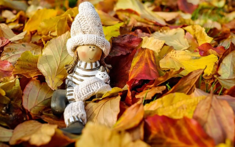 <span>Sunday Morning Tip for Oct 01:</span> Let the Fall Season Begin