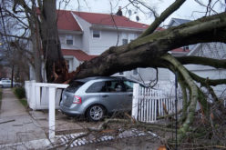 Home Harm: 3 Best Steps To Recovering From Hurricane Damage