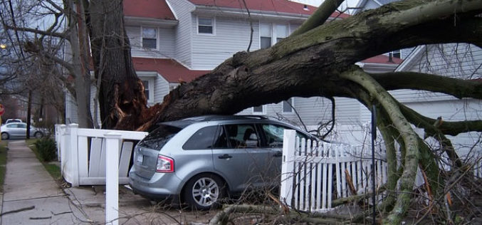 Home Harm: 3 Best Steps To Recovering From Hurricane Damage