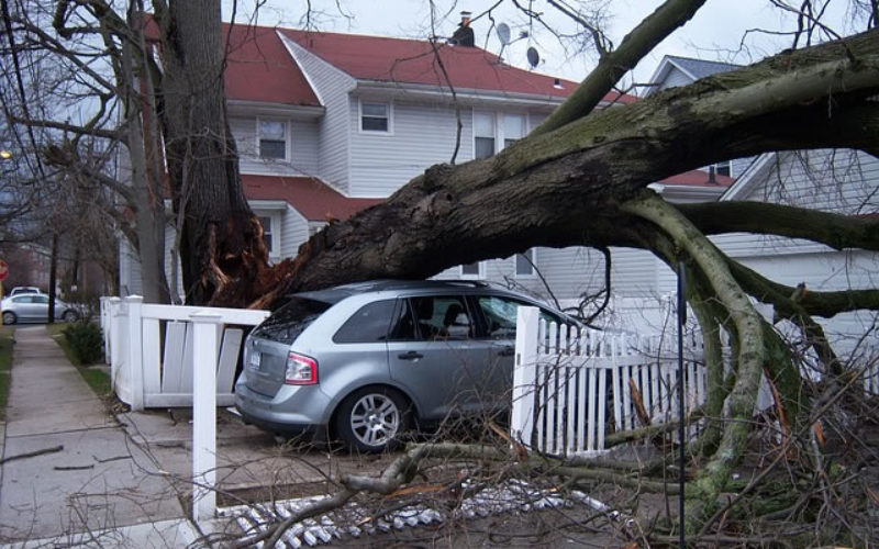 Home Harm: 3 Best Steps To Recovering From Hurricane Damage